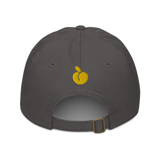 Charcoal Organic Baseball Cap Back View
