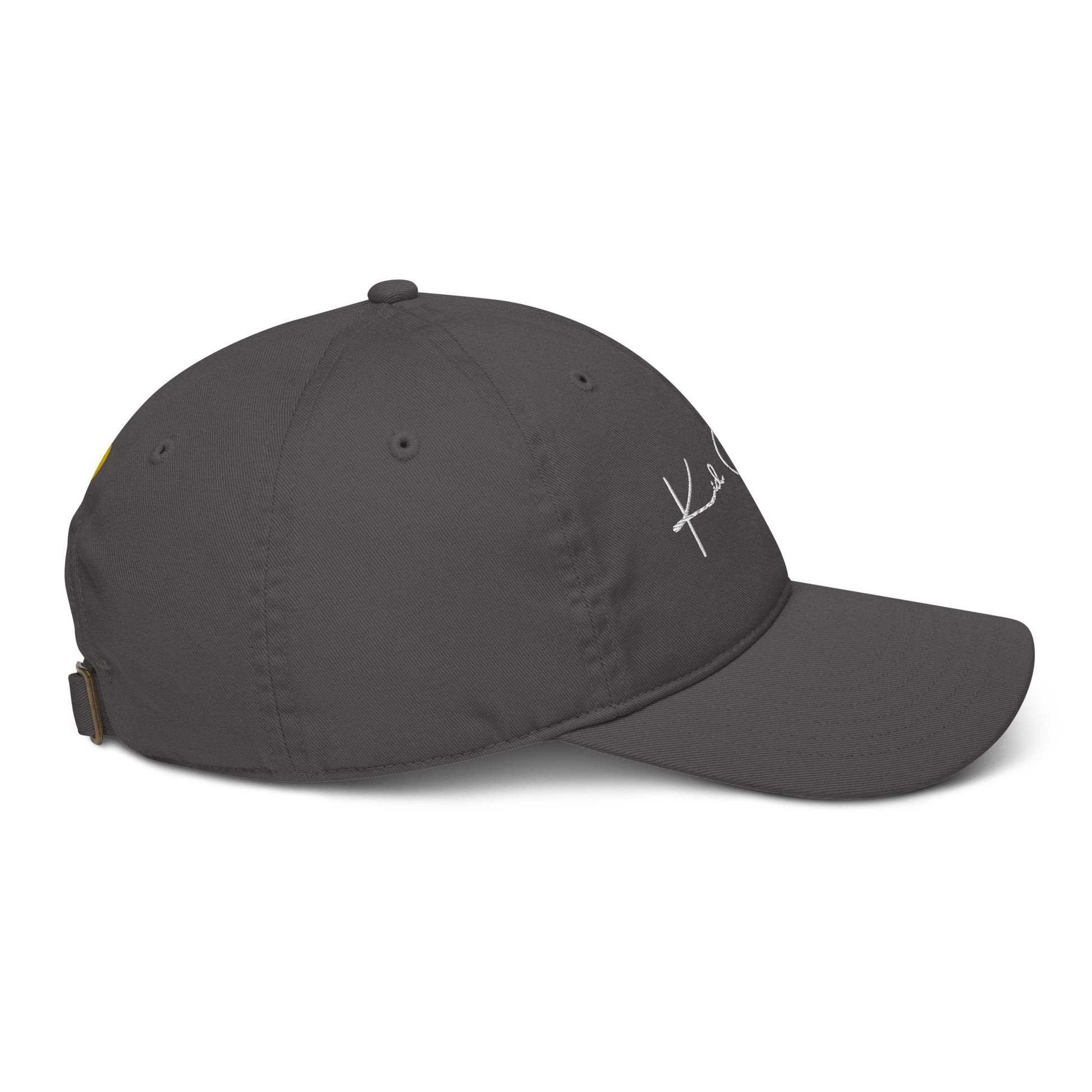 Charcoal Organic Baseball Cap Full Right View